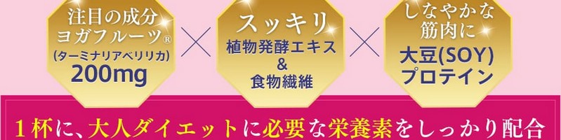 ���K�t���[�c���T�C�g