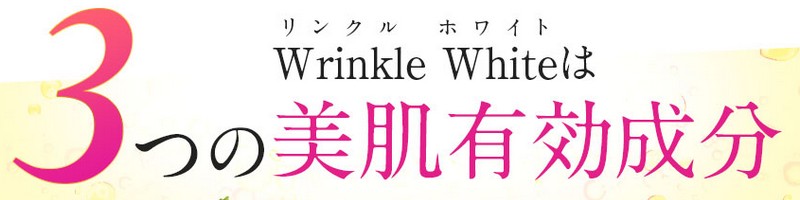 �T�����F�{�[�e �����N���z���C�g���T�C�g