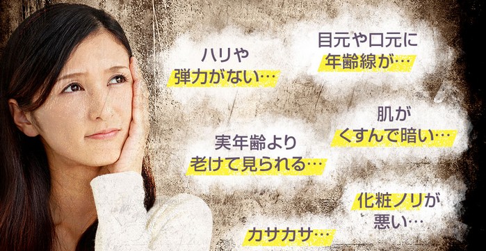 �V�[�R���v���`�i��