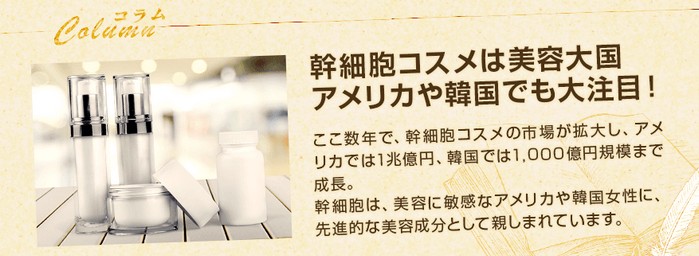 �V�[�R���v���`�i��