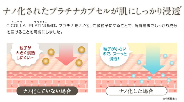 �V�[�R���v���`�i��